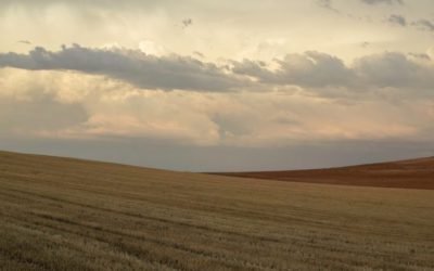 Protección de la propiedad concentrada en Castilla y León